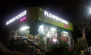 flower power smouha