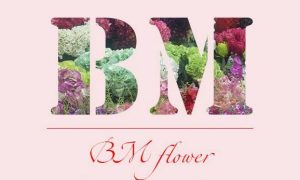 BM Flower